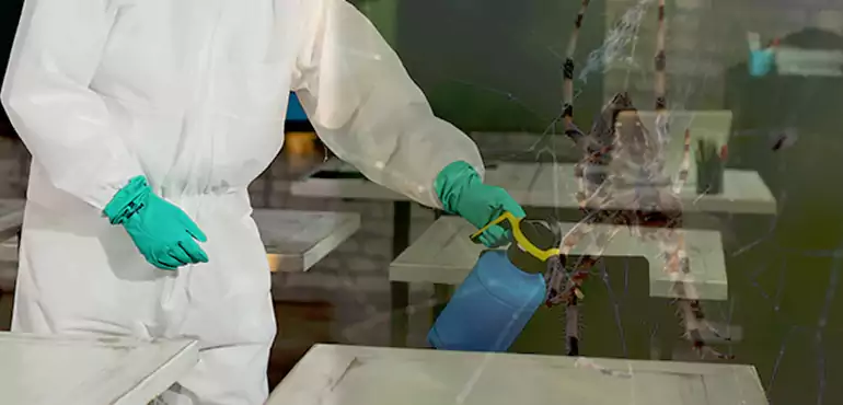 Why Buyers Still Want Homes With Pest Infestations in Greensboro, NC?