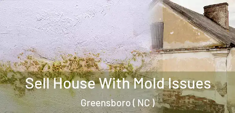  Sell House With Mold Issues Greensboro ( NC )